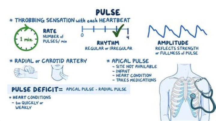 How does the Electro Pulse work?