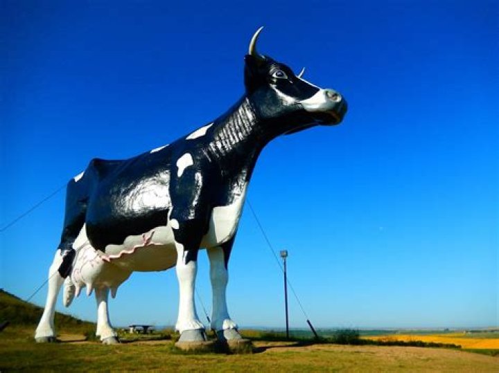 Largest Possible Cow