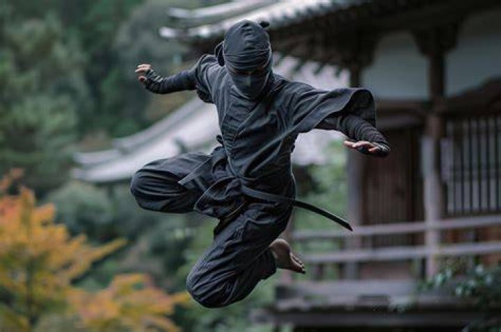 Ninja