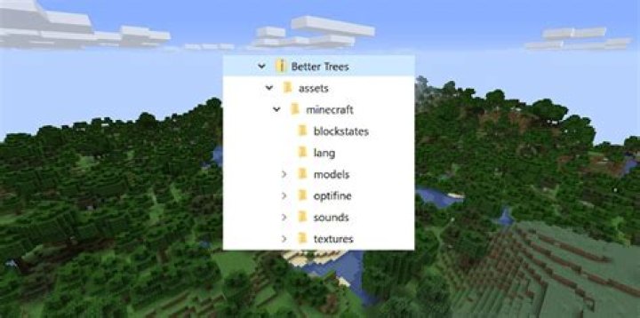 No .minecraft bin or resource folder! [closed]