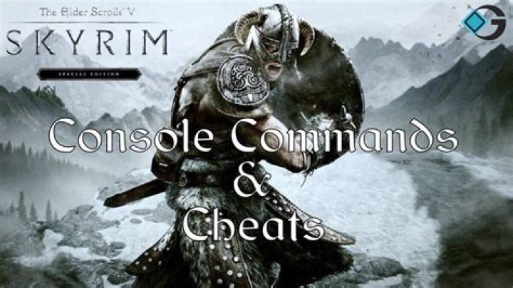 Skyrim command console does not appear