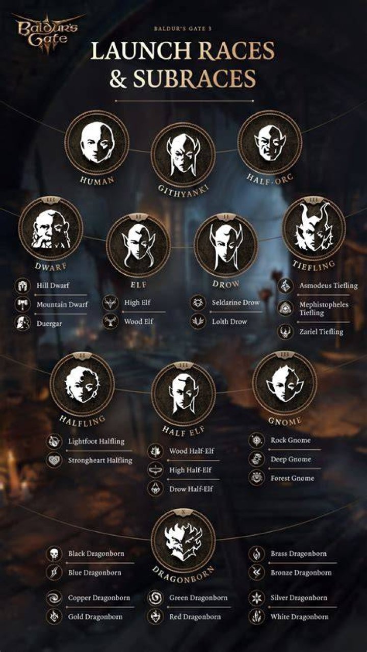 What are the differences between the races in multiplayer?