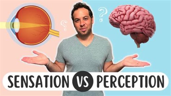 What is Control and Perception?