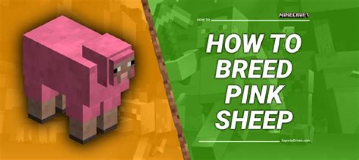 Why did my sheep spawn pink?